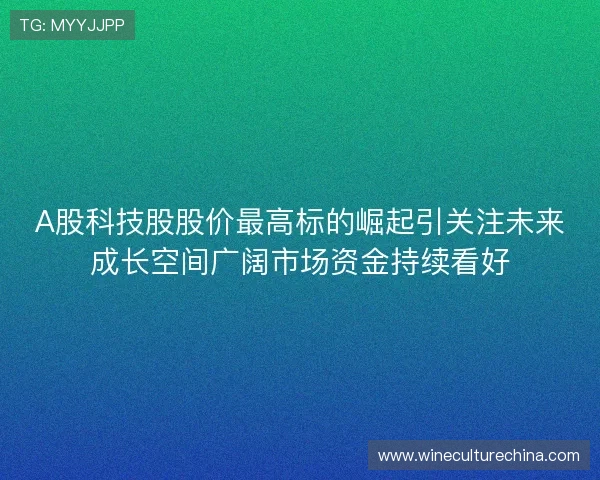 A股科技股股价最高标的崛起引关注未来成长空间广阔市场资金持续看好 A股科技股股价最高标的崛起引关注未来成长空间广阔市场资金持续看好